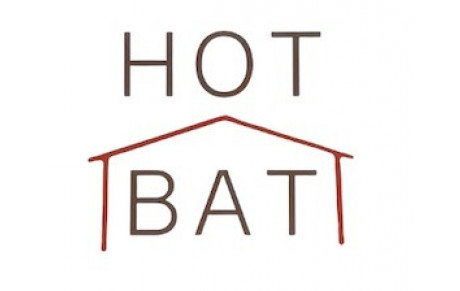 HOT BAT